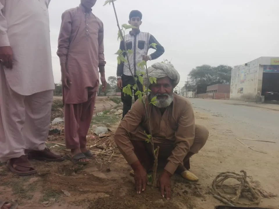 Green Seekers Activity